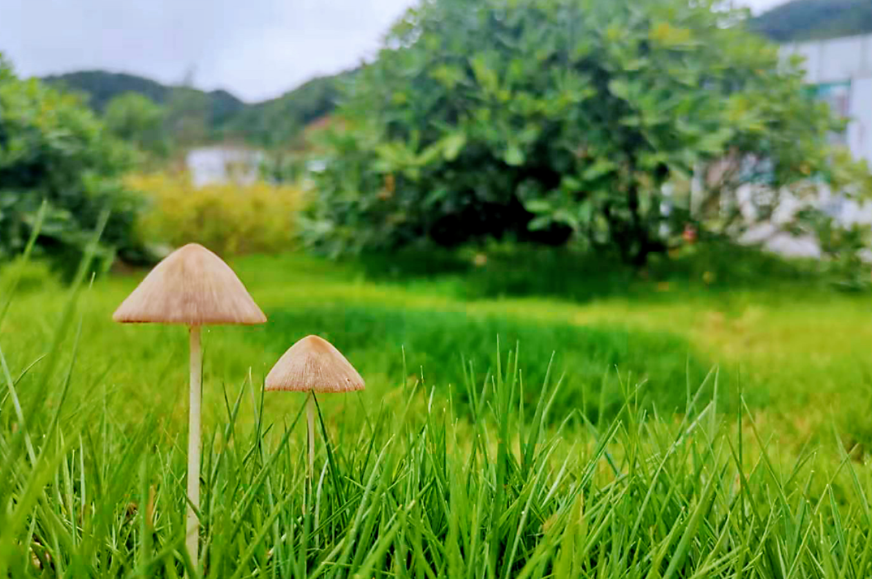 ΢ÐŽØÍ¼_20230823153949.png ΢ÐŽØÍ¼_20230823153949.png