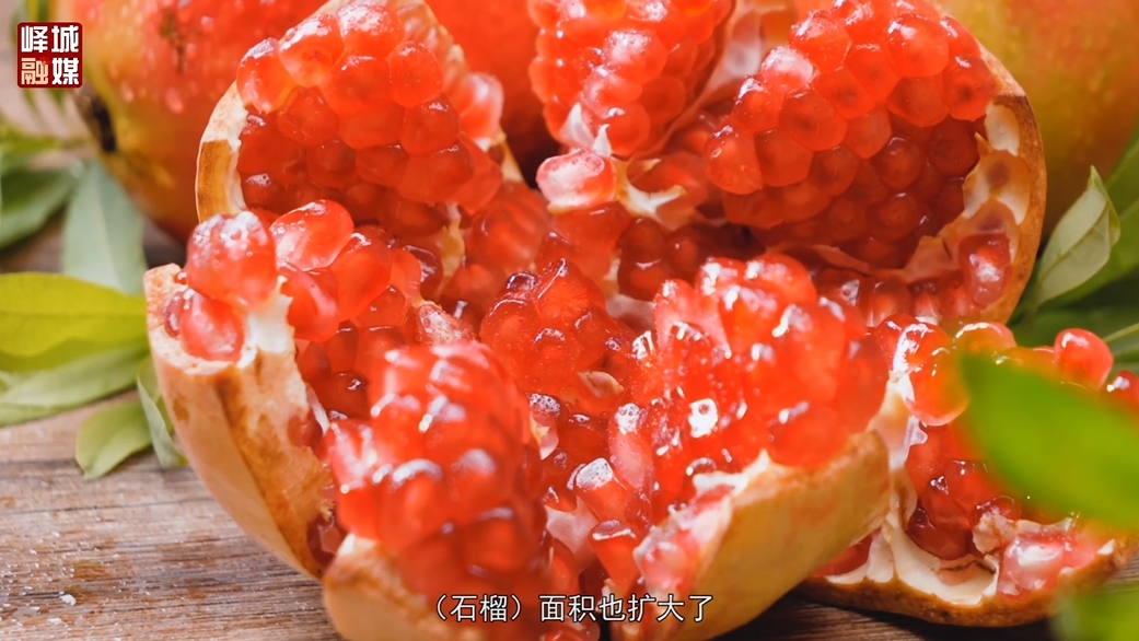 微信截图_20250219144454.png 微信截图_20250219144454.png